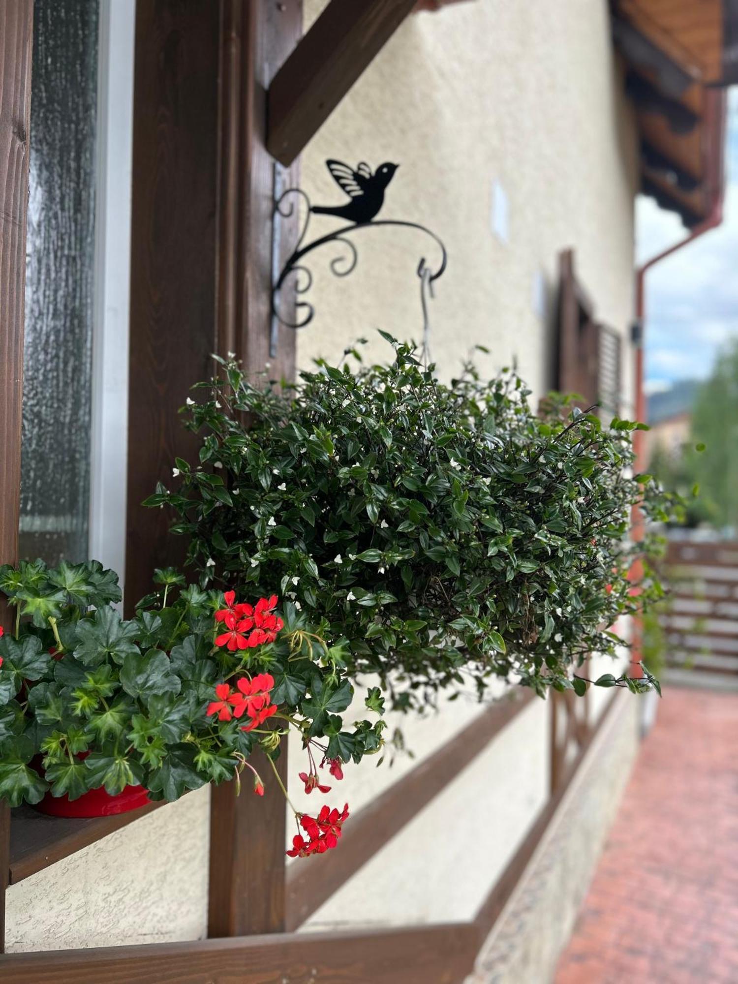 Residence Rooms Bucovina Кымпулунг-Молдовенеск Экстерьер фото